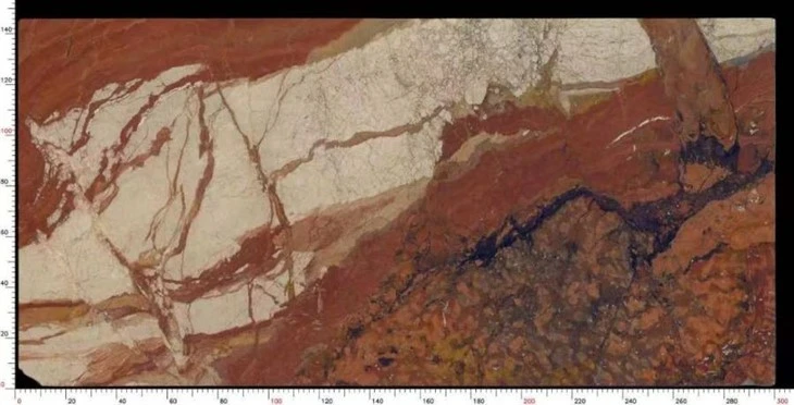 Breche Fantastique Marble Slab